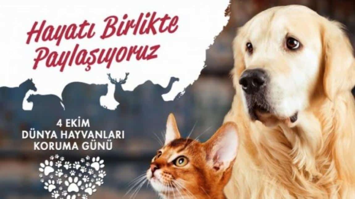 HAYVANLARI KORUMA GÜNÜ ETKİNLİKLERİMİZ